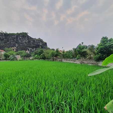 Trang An Garden Bungalow Ninh Binh Buitenkant foto