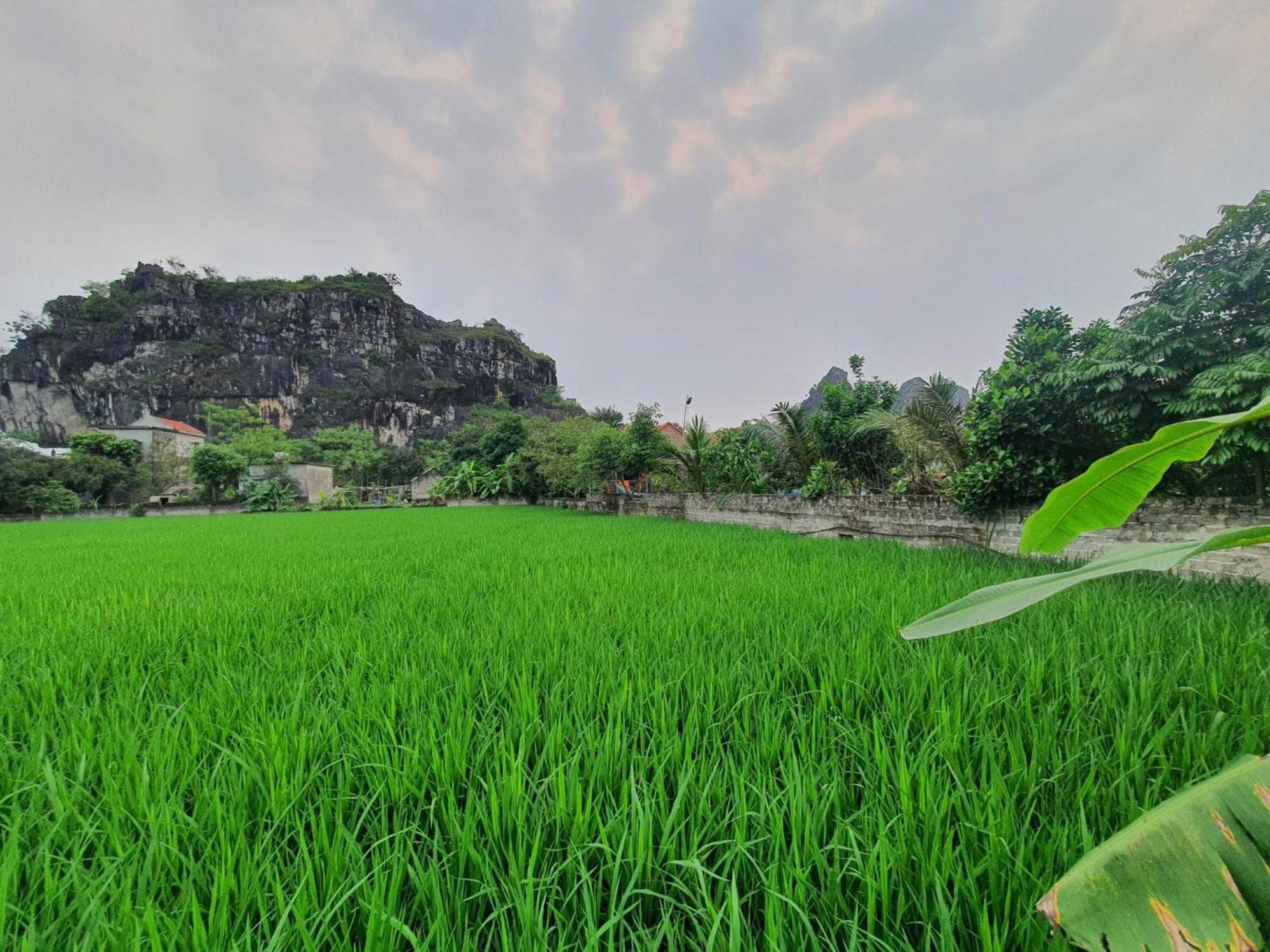Trang An Garden Bungalow Ninh Binh Buitenkant foto